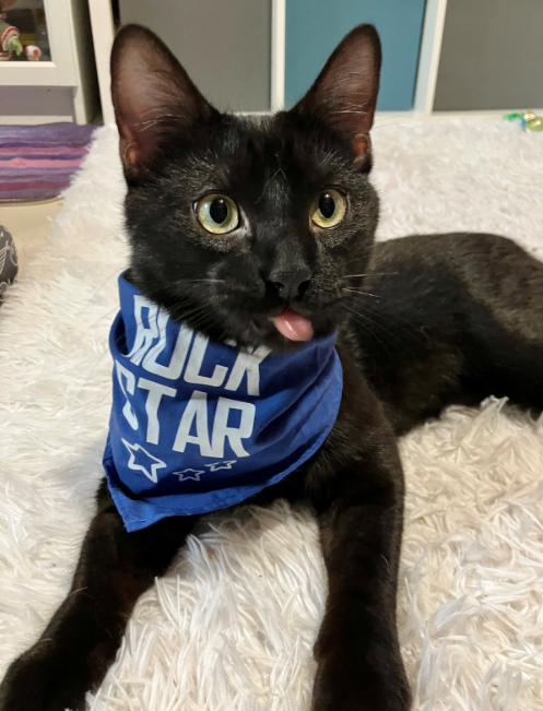 Caramel
