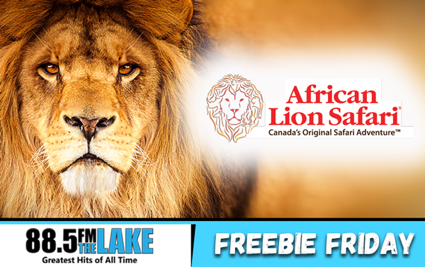 African Lion Safari Freebie Friday!